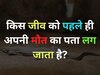 GK Quiz: ऐसा कौन सा जानवर है, जिसे पहले ही अपनी मौत के आने का पता लग जाता है?