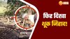 Meerut Man