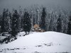 Weather Update: साल के पहले दिन कोहरे की चादर में छिपी दिल्ली, कश्मीर में जमकर हो रही बर्फबारी 