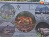 वाल्मीकि टाइगर रिजर्व में जंगल सफारी के दौरान पर्यटकों का भालू से रोमांचक सामना