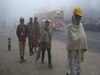 Rajasthan Weather Update: राजस्थान में कोहरे और शीतलहर का डबल अटैक, बारिश के बाद धड़ाम से गिरा पारा, ठिठुर रहे 11 जिले