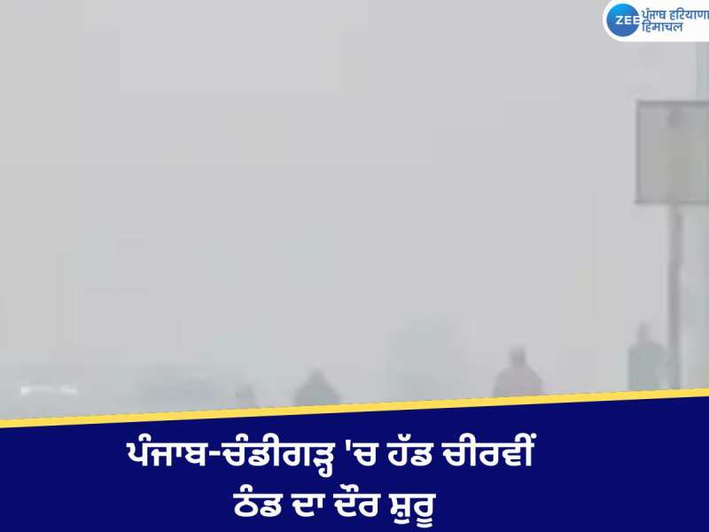 ਪੰਜਾਬ-ਚੰਡੀਗੜ੍ਹ 'ਚ ਹੱਡ ਚੀਰਵੀਂ ਠੰਡ ਦਾ ਦੌਰ ਸ਼ੁਰੂ, ਸੰਘਣੀ ਧੁੰਦ ਕਰਕੇ ਵਿਜ਼ੀਬਿਲਟੀ ਘਟੀ
