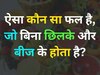 GK Quiz: ऐसा कौन सा फल है, जिसमें छिलका और बीज दोनों ही नहीं होते हैं?