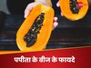 Papaya Seeds: पपीता खाने के बाद कभी न फेंके इसके बीज, 4 तरह से लें बेनिफिट