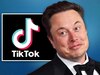 क्या TikTok के मालिक बनेंगे Elon Musk? कंपनी ने कह डाली इतनी बड़ी बात