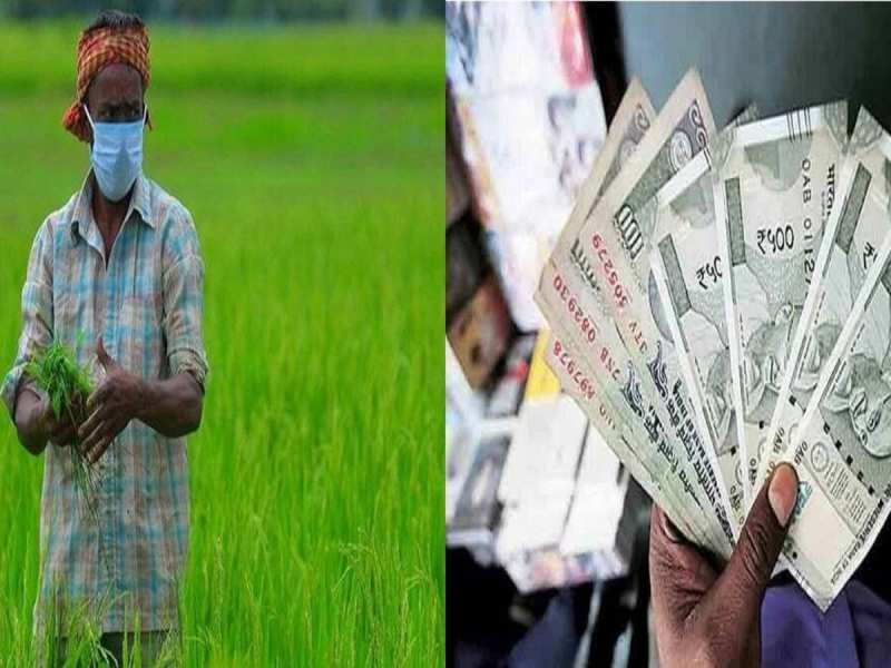 PM Kisan Yojana: किसानों को लूटने का चल रहा प्लान! धोखाधड़ी से बचने के लिए तुरंत अपनाएं ये टिप्स