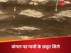 मंगल ग्रह पर करोड़ों साल पहले पानी में लहरें उठा करती थीं! NASA के रोवर ने खोजे हैरान करने वाले सबूत