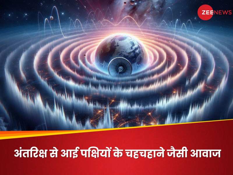 पृथ्‍वी से 1.5 लाख KM दूर से आई चिड़ियों के चहकने की आवाज, घूमा वैज्ञानिकों का दिमाग