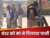 नारायण मिल जाएगा...  स्कूली बच्चे से बंदर छीनने लगा पानी की बोतल, मां ने आकर किया ऐसा काम; चौंधिया जाएंगी आंखें