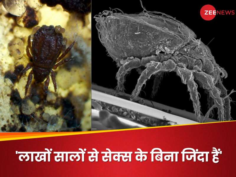 इस जानवर ने दो करोड़ साल से सेक्स नहीं किया, फिर कैसे बढ़ी आबादी? पता चली अनोखी वजह