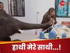 Viral Video