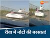 रीवा में सड़क पर अचानक हुई पैसों की बारिश, रईसजादों ने फॉच्यूनर की छत पर बैठकर उड़ाए नोट