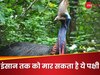 Knowledge News: ऐसी चिड़िया जो इंसान तक को भी मार सकती है? जान लीजिए नाम वरना पछताएंगे