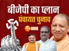 UP BJP News