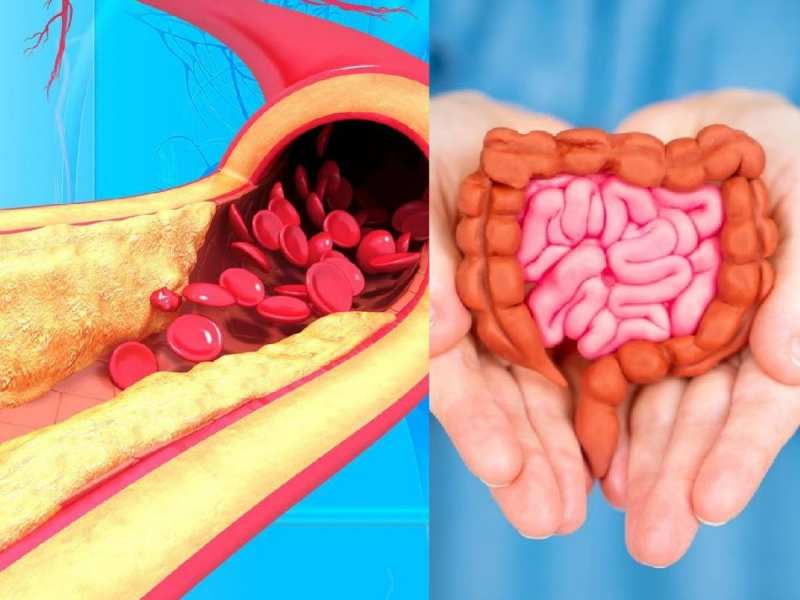 नसों से कटकर बाहर आएगा कोलेस्ट्रॉल, बस सुबह खाली पेट खा लें ये मसाला 