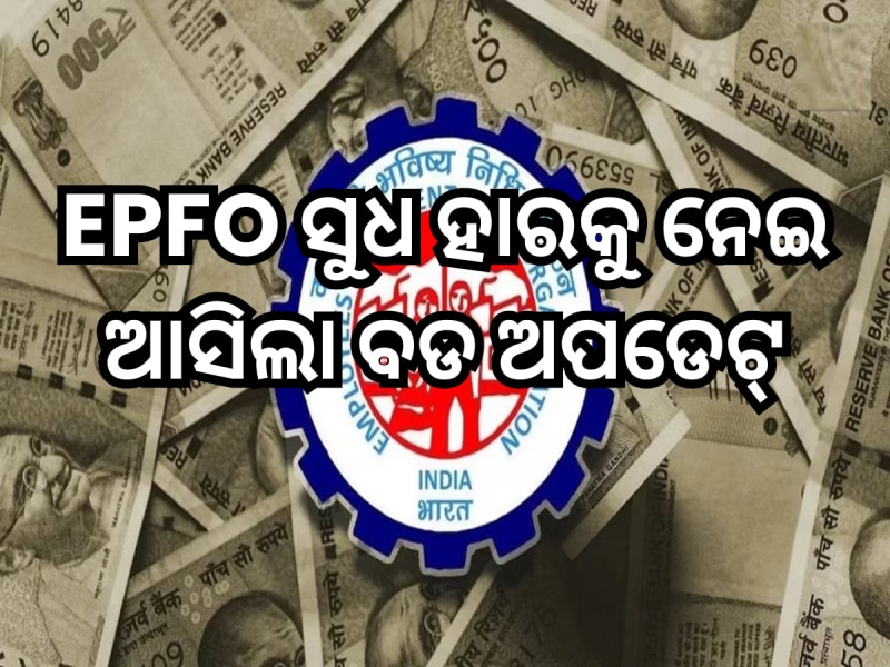 EPFO ସୁଧ ହାରକୁ ନେଇ ଆସିଲା ବଡ ଅପଡେଟ୍, ସେୟାର ବଜାରରୁ ରୋଜଗାର କରନ୍ତୁ କି ନାହିଁ, PF କରିବ ଧନୀ