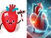 हार्ट अटैक आने से 30 दिन पहले नजर आते हैं लक्षण, समय रहते करा लें इलाज 