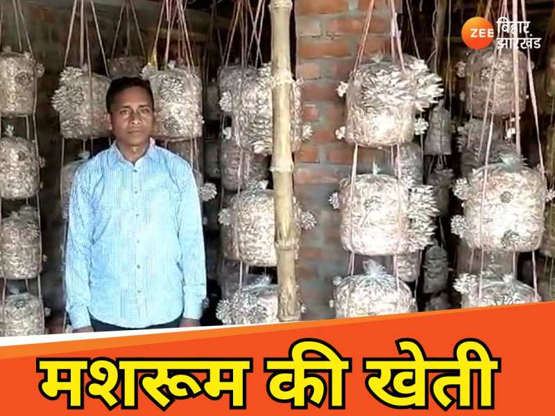 ये है विश्वनाथ हांसदा की कहानी, जो मशरूम की खेती कर अपने सपनों को कर रहे साकार 