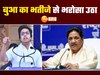 mayawati 