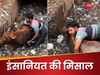 नाले में फंसी गाय तो लड़के ने जान की परवाह किए बिना बचाया, Video जीत रहा दिल