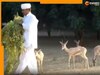 Jalore News