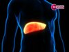 Fatty Liver: इन लोगों में बढ़ रही है फैटी लीवर की समस्या, जानें कारण, लक्षण और उपाय 