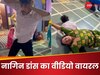 शादी में 'नागिन डांस' का अनोखा अंदाज, ताई ने किया ऐसा डांस, वीडियो हुआ वायरल