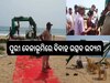 Odisha News: ପୁରୀ ବେଳାଭୂମିରେ ବିବାହ ଉତ୍ସବ ଉଦ୍ୟମ, କିପରି ପର୍ମିଶନ ଦେଲା ପୁରୀ ପୌରସଂସ୍ଥା?