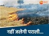 भोपाल में पराली जलाने पर रोक 