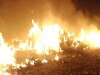 Noida Fire: नोएडा के बहलोलपुर गांव के पास झुग्गियों में लगी आग, एक के बाद एक फटे कई सिलेंडर