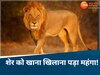 सांकेतिक तस्वीर