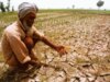 Kisan Samman Nidhi scam in Rajasthan