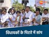 मध्य प्रदेश राजनीतिक खबरें 