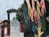  Sophia Senior Secondary School Ajmer News 