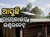 ସାଟେଲାଇଟ୍ ଇଣ୍ଟରନନେଟ୍ ପାଇଁ ଏଲୋନ୍ ମସ୍କଙ୍କ କମ୍ପାନୀ ସହ ହାତ ମିଳାଇଲା ଏୟାରଟେଲ୍