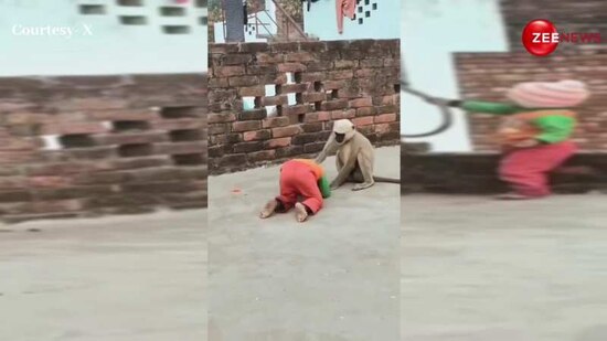 Video Thumbnail