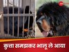 कुत्ता समझकर 2 साल तक पाला, अचानक पता चला कि 25000 रुपये में जिसे खरीदा वह भालू है; फिर हुआ ऐसा