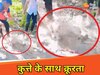सड़ गई सोच, मर गई इंसानियत! इंस्टाग्राम रील के लिए कुत्ते की काटी पूंछ, वीडियो किया अपलोड