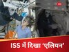 VIDEO: स्पेस स्टेशन में गले मिल रहे थे एस्ट्रोनॉट्स, अचानक सुनीता विलियम्स के सामने आ गया 'एलियन'