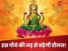 धन रखने वाली जगह पर रख दें इस चमत्कारी पौधे की जड़, बढ़ जाएगी दौलत-शोहरत
