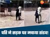 लात-घूंसों से पीटा, फिर बाल पकड़कर घसीटते हुए थाने लेकर पहुंचा पति, पत्नी बोली ससुर के कहने पर...