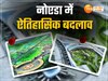 Greater Noida News
