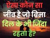 GK Quiz: ऐसा कौन सा जीव है जो बिना दिल के भी जिंदा रहता है?