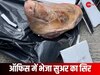 तीखे सवाल पूछती थी मैगजीन, किसी ने ऑफिस भेजा सुअर का सिर, प्रेसिडेंट ऑफिस बोला- पकाकर खा लो
