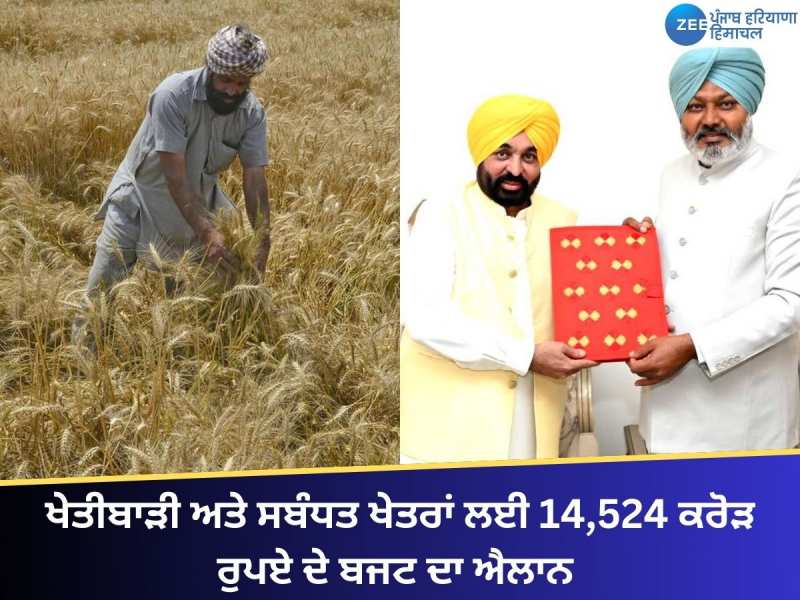 Punjab Budget 2025: ਖੇਤੀਬਾੜੀ ਅਤੇ ਸਬੰਧਤ ਖੇਤਰਾਂ ਲਈ 14,524 ਕਰੋੜ ਰੁਪਏ ਦੇ ਬਜਟ ਦਾ ਐਲਾਨ