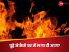 चूहे की वजह से लगी आग ने पूरे घर को जलाकर कर दिया राख, 2 घंटे में फायर ब्रिगेड के छूटे पसीने