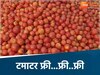 यहां फ्री में मिल रहे टमाटर 