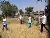 Jodhpur News Zee Rajasthan 