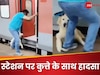 Video: रेलवे स्टेशन पर खौफनाक घटना, जब मालिक की वजह से कुत्ता चलती ट्रेन से फिसला और
