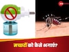 मच्छरों को भगाने के लिए केमिकल बेस्ड मॉस्किटो रेपेलेंट रिस्की, ये नेचुरल ऑयल है बेहतर ऑप्शन